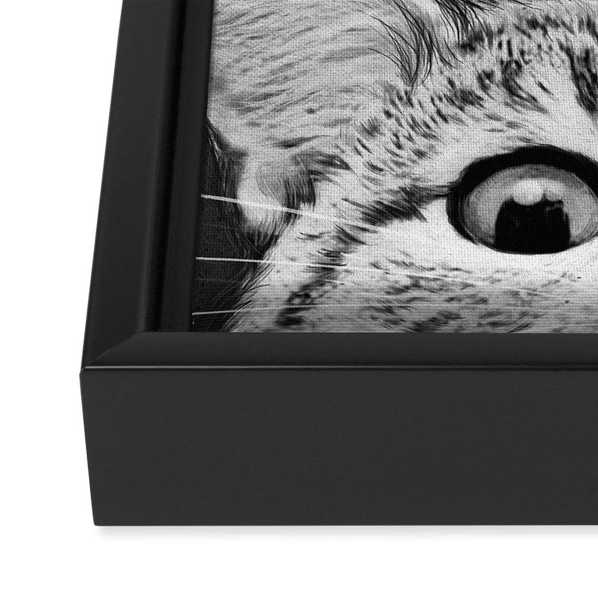 You asleep yet? Framed Canvas Print Gallery Image 3