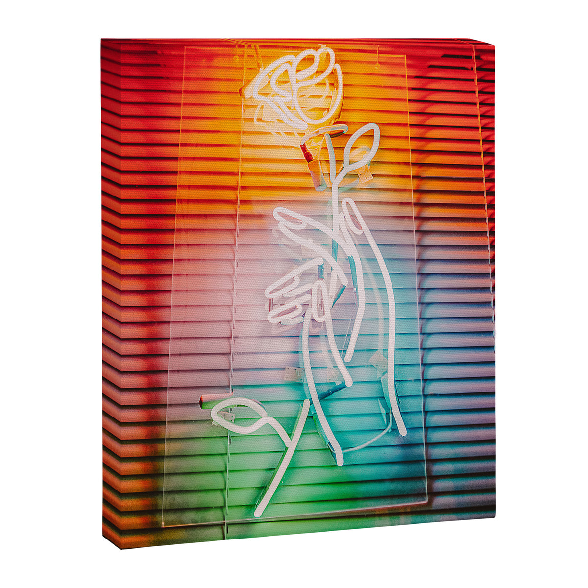 NEON ROSE Canvas Print Gallery Image 6