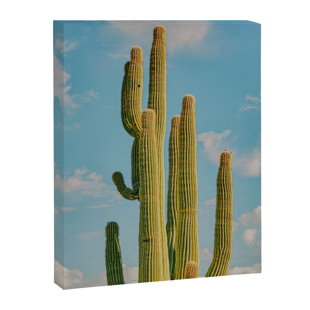 SKY CACTUS Canvas Print Gallery Image 6
