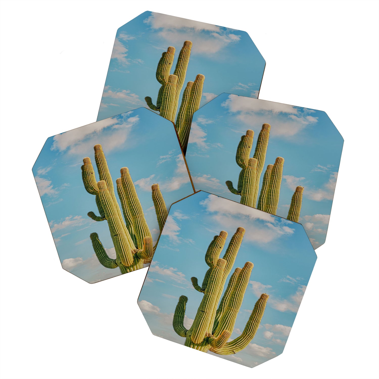 SKY CACTUS Coaster Gallery Image 1