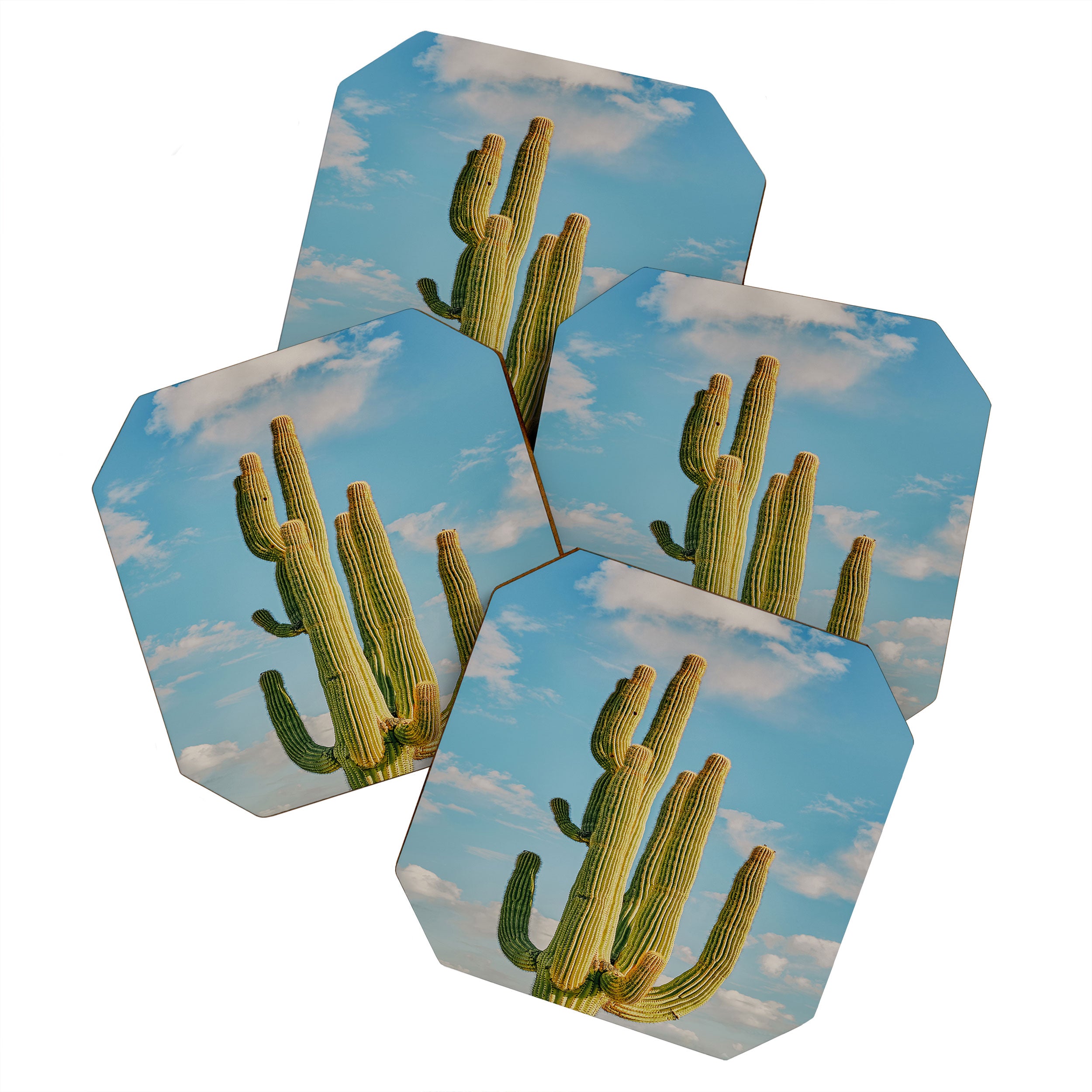 SKY CACTUS Coaster Gallery Image 1