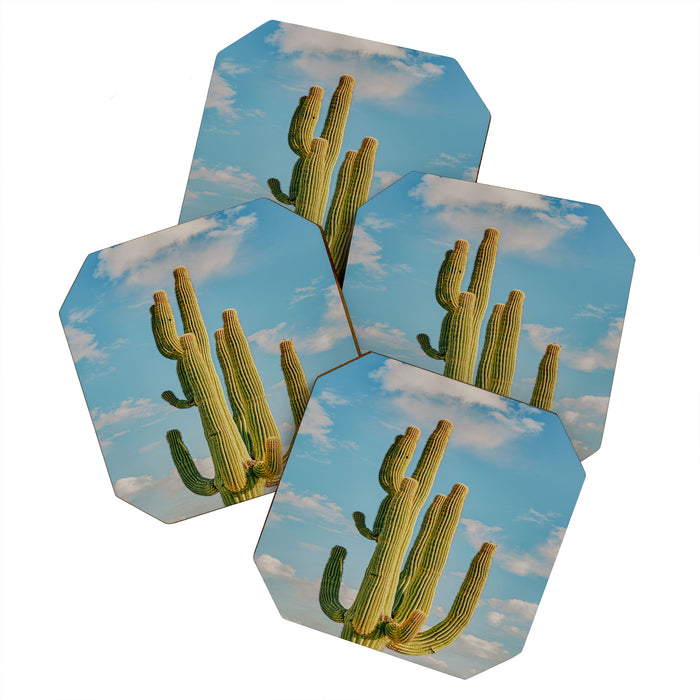 SKY CACTUS Coaster Gallery Image 1