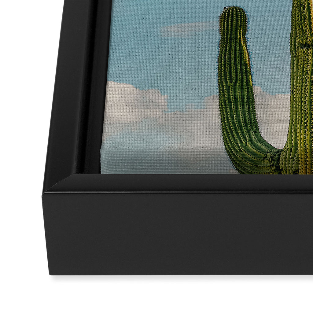 SKY CACTUS Framed Canvas Print Gallery Image 3