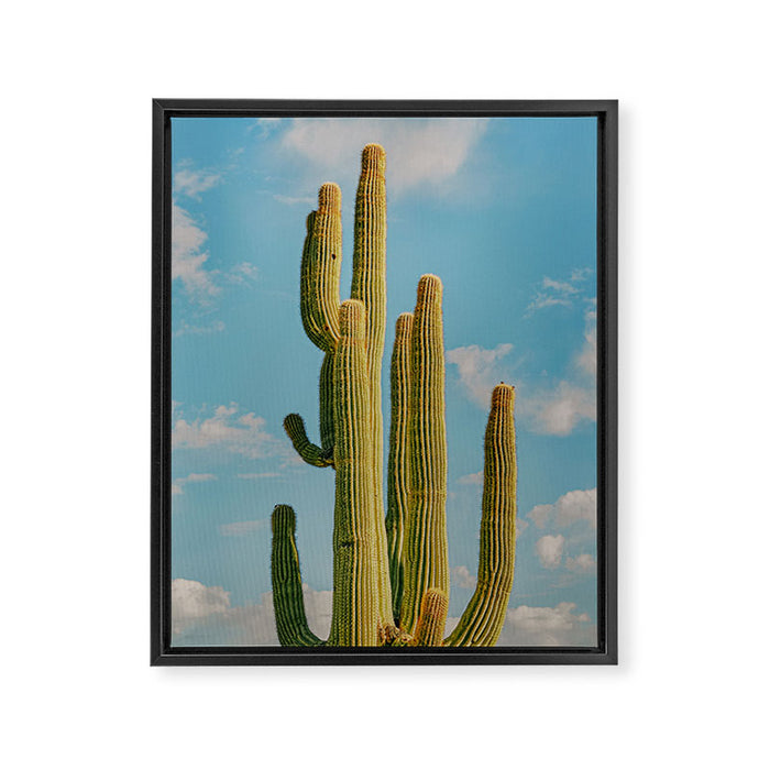 SKY CACTUS Framed Canvas Print Gallery Image 1