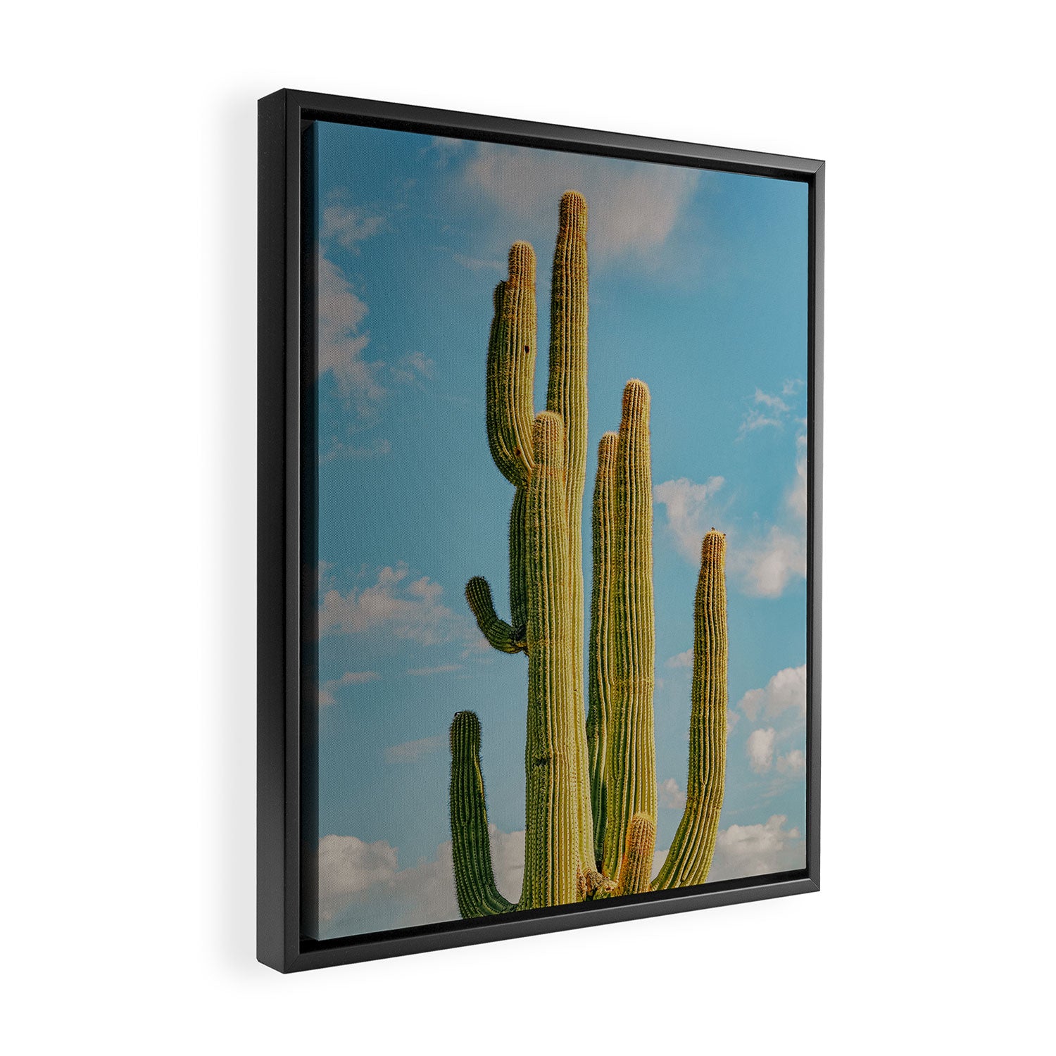 SKY CACTUS Framed Canvas Print Gallery Image 2