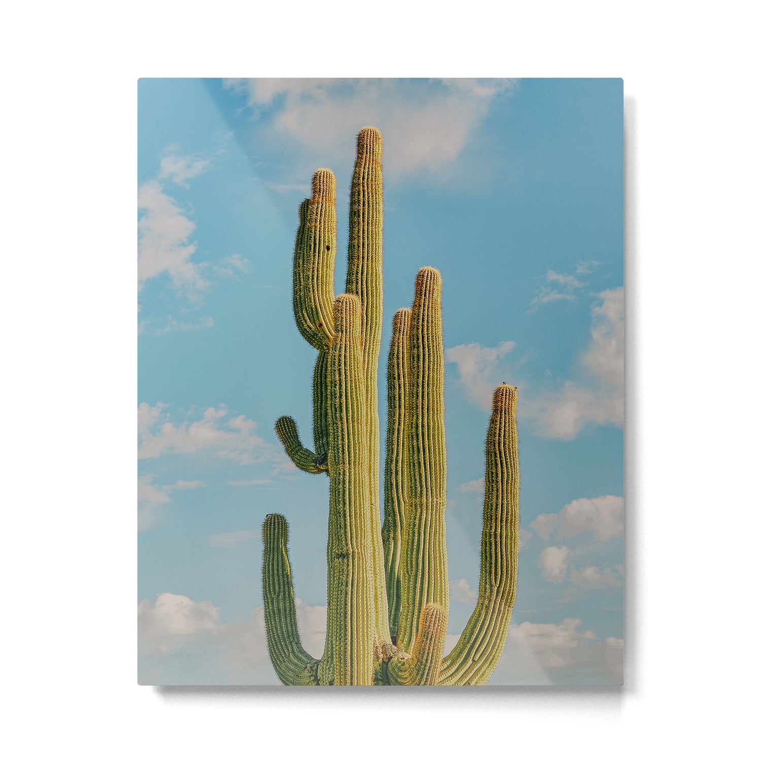 SKY CACTUS Metal Print Gallery Image 4