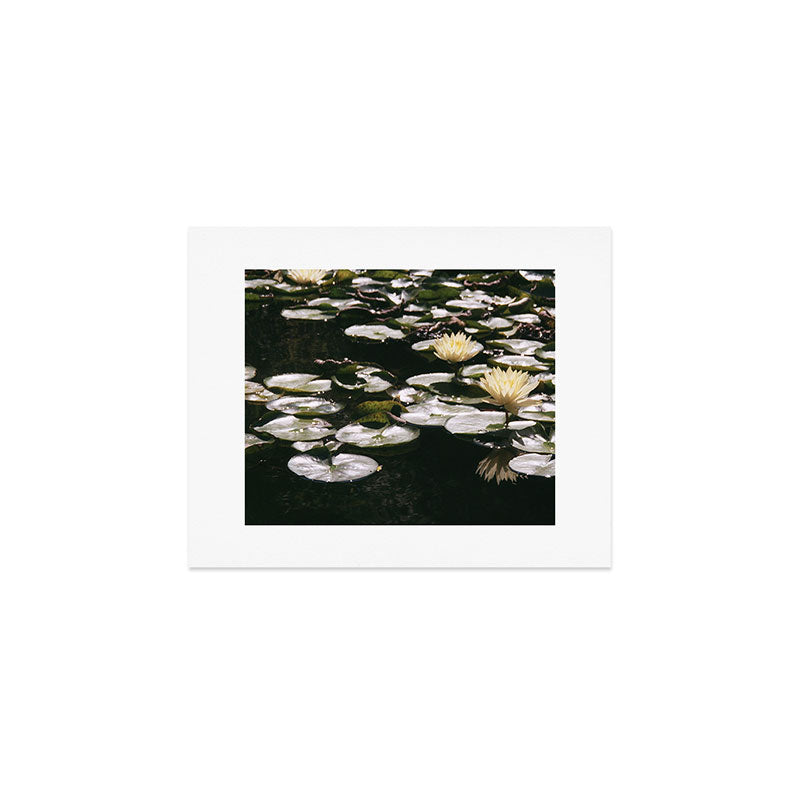 Mid-Summer Lilly  Art Print Gallery Image 1