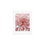 Pink Blush Rose Art Print Gallery Image 1