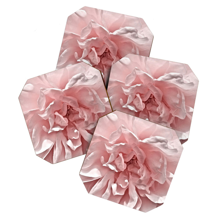 Pink Blush Rose Coaster Gallery Image 1