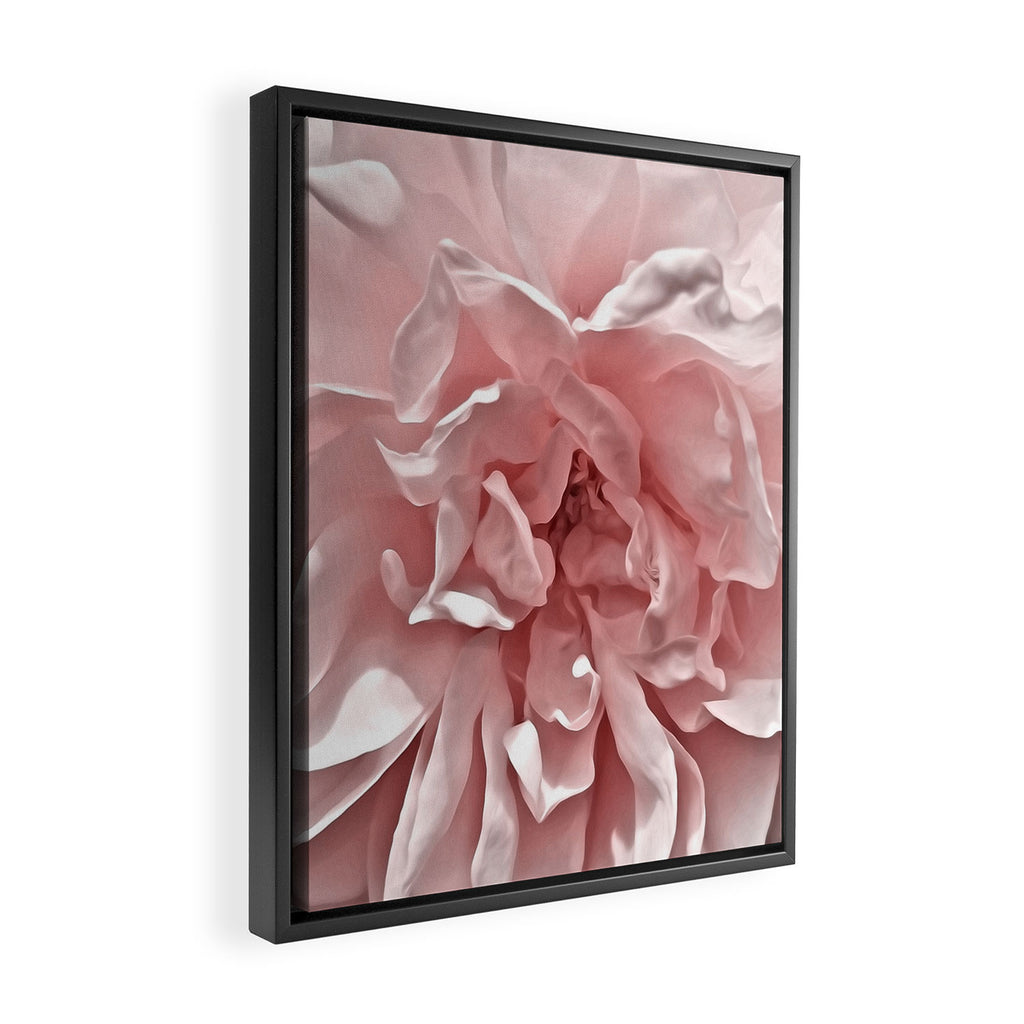 Pink Blush Rose Framed Canvas Print Gallery Image 2
