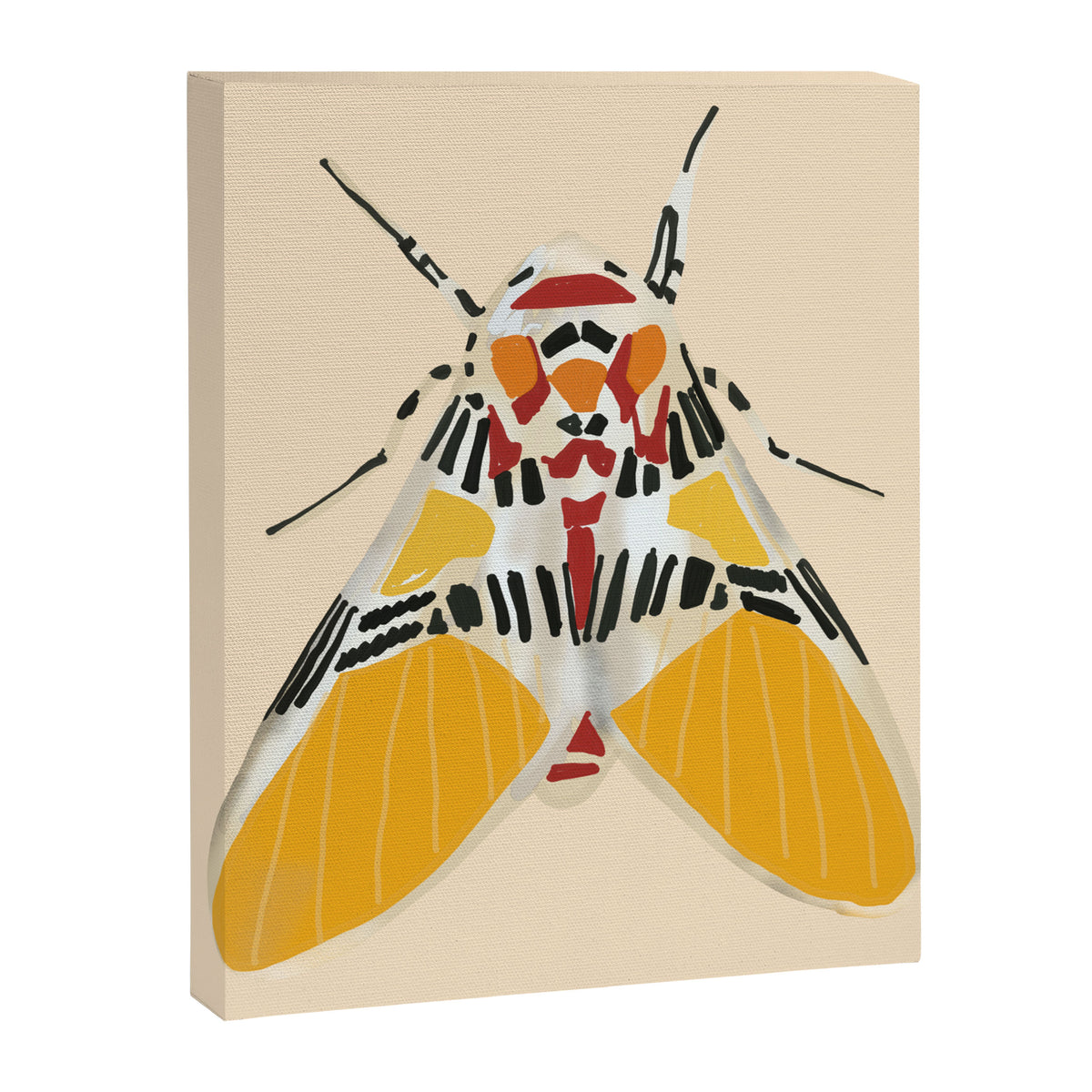 Moth 2 Canvas Print Gallery Image 8