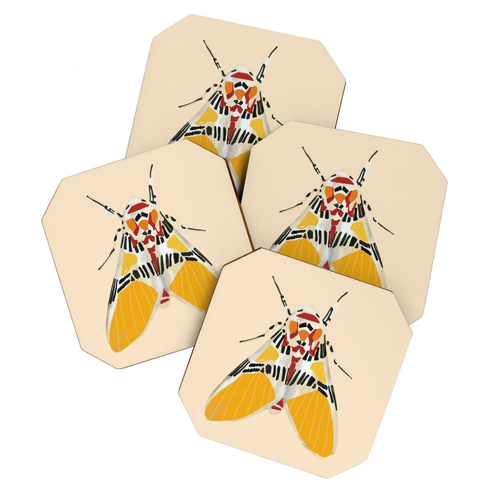 Moth 2 Coaster Gallery Image 1