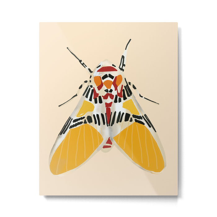Moth 2 Metal Print Gallery Image 1