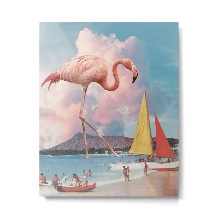 Flamingo Playground Metal Print Gallery Image 1