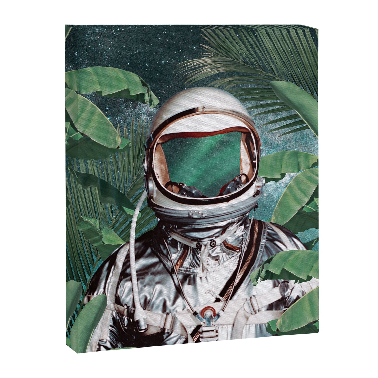 Paradise Found Canvas Print Gallery Image 6