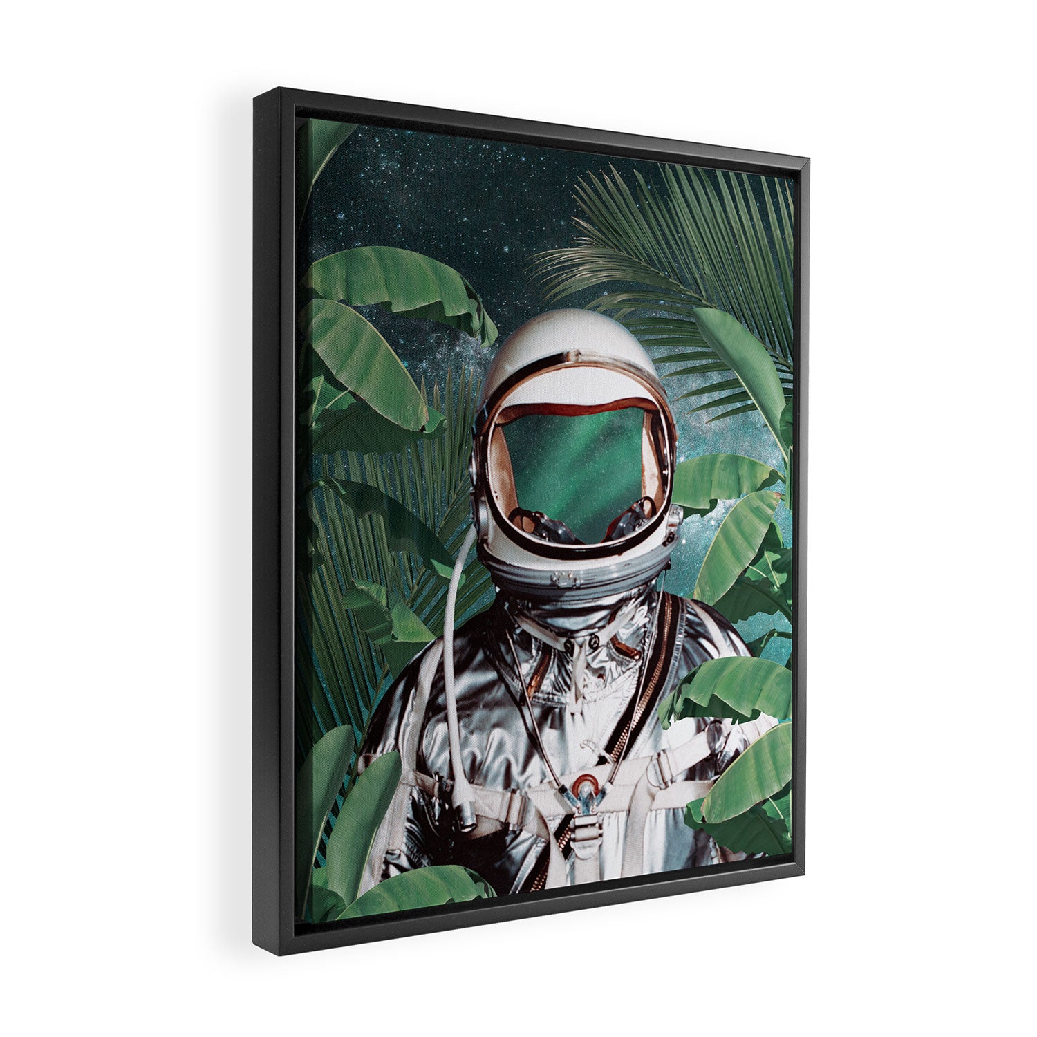 Paradise Found Framed Canvas Print Gallery Image 2