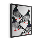 Pigeon Power Framed Canvas Print Gallery Image 2