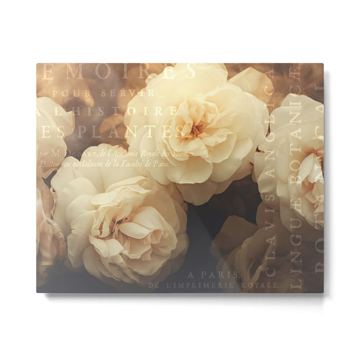 Floral Luxury In Twilight Sepia Peach Metal Print Gallery Image 1