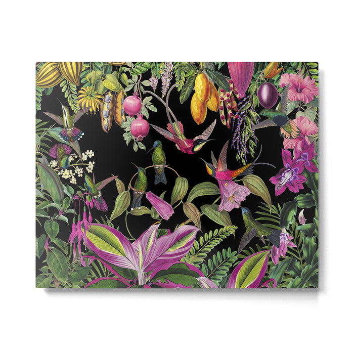 Hidden Exotic Hummingbird Paradise Black Metal Print Gallery Image 1