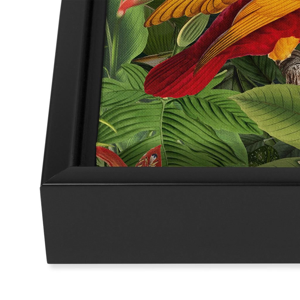Midnight Jungle Parrots Tropical Paradise Framed Canvas Print Gallery Image 3