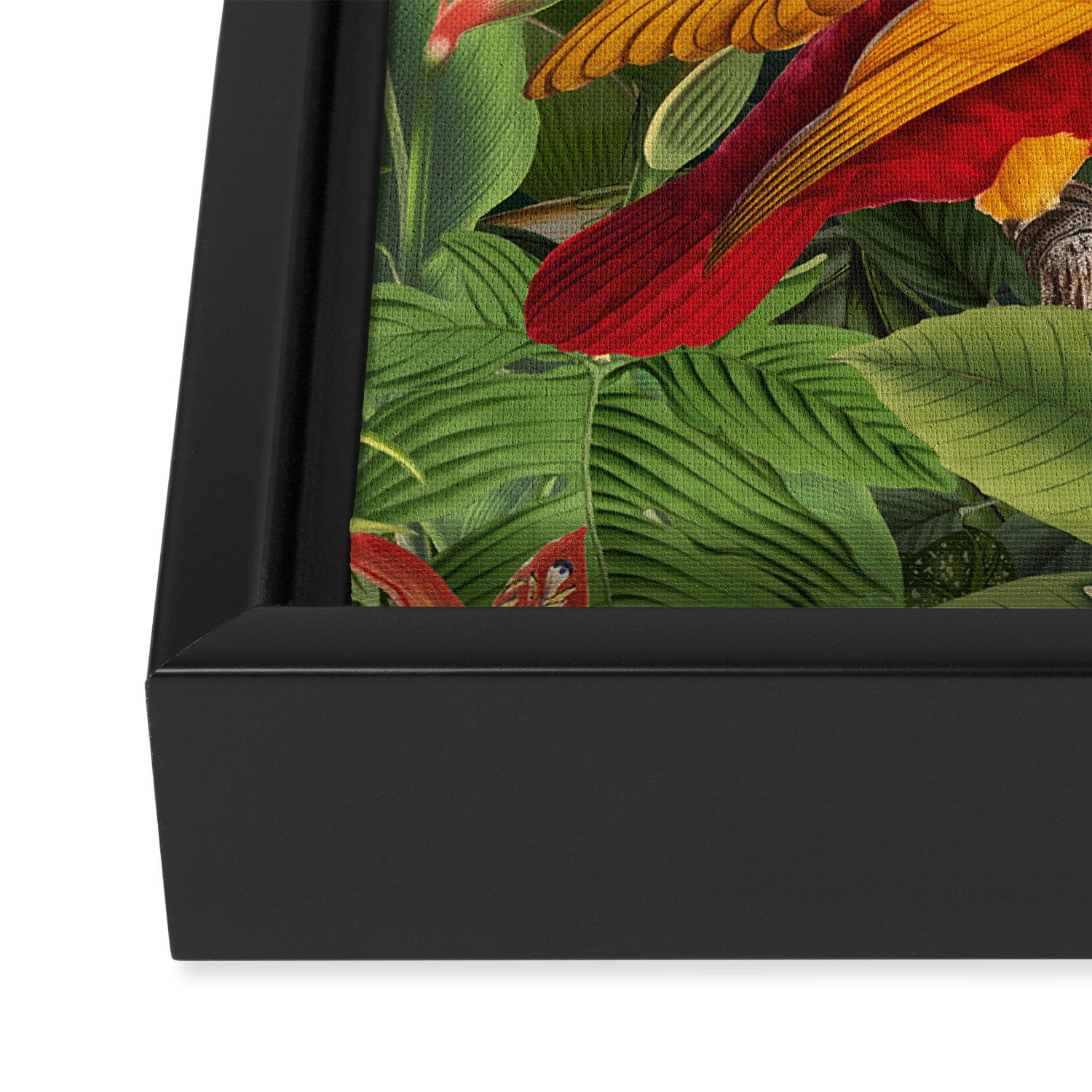 Midnight Jungle Parrots Tropical Paradise Framed Canvas Print Gallery Image 3