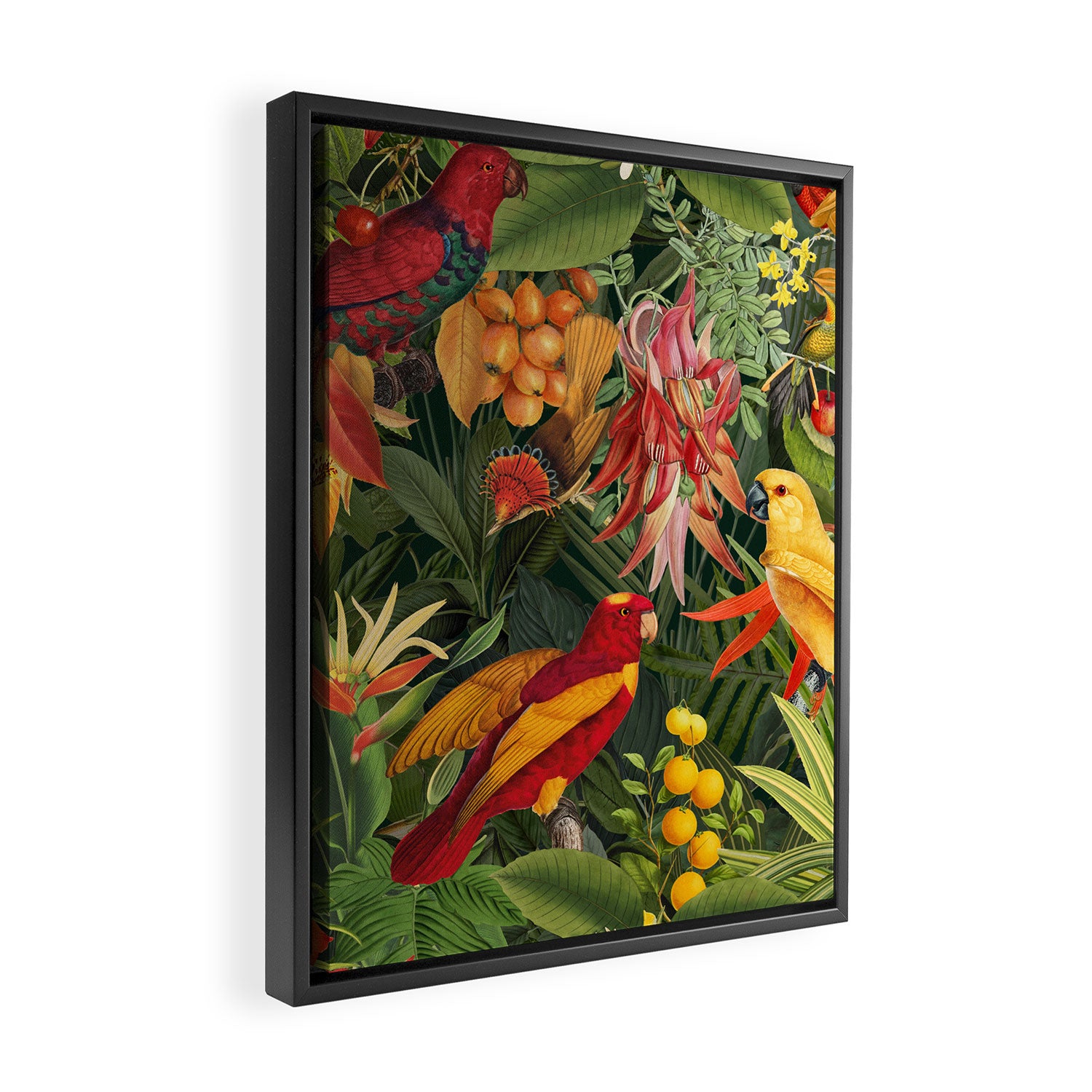 Midnight Jungle Parrots Tropical Paradise Framed Canvas Print Gallery Image 2