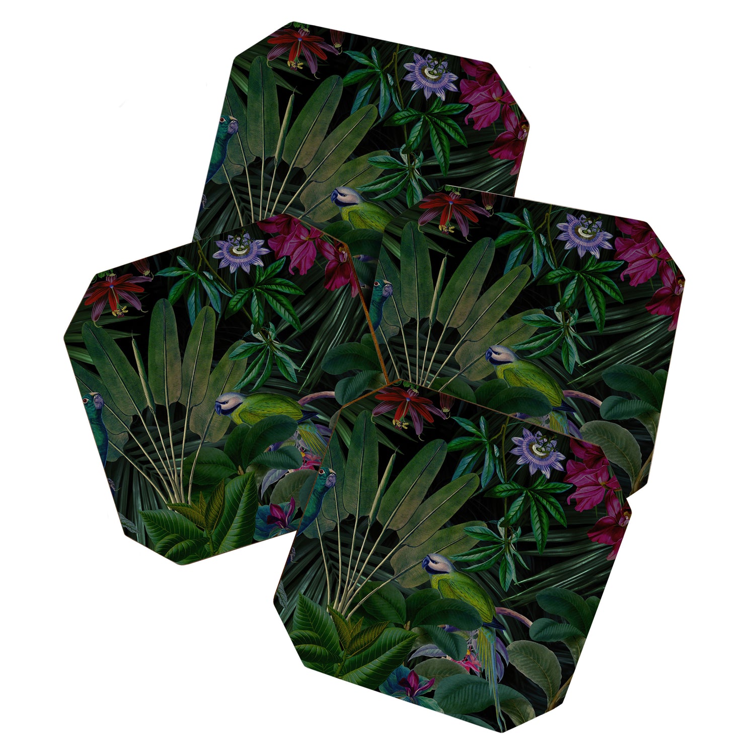 Moody Midnight Jungle Lush Tropical Paradise Coaster Gallery Image 1