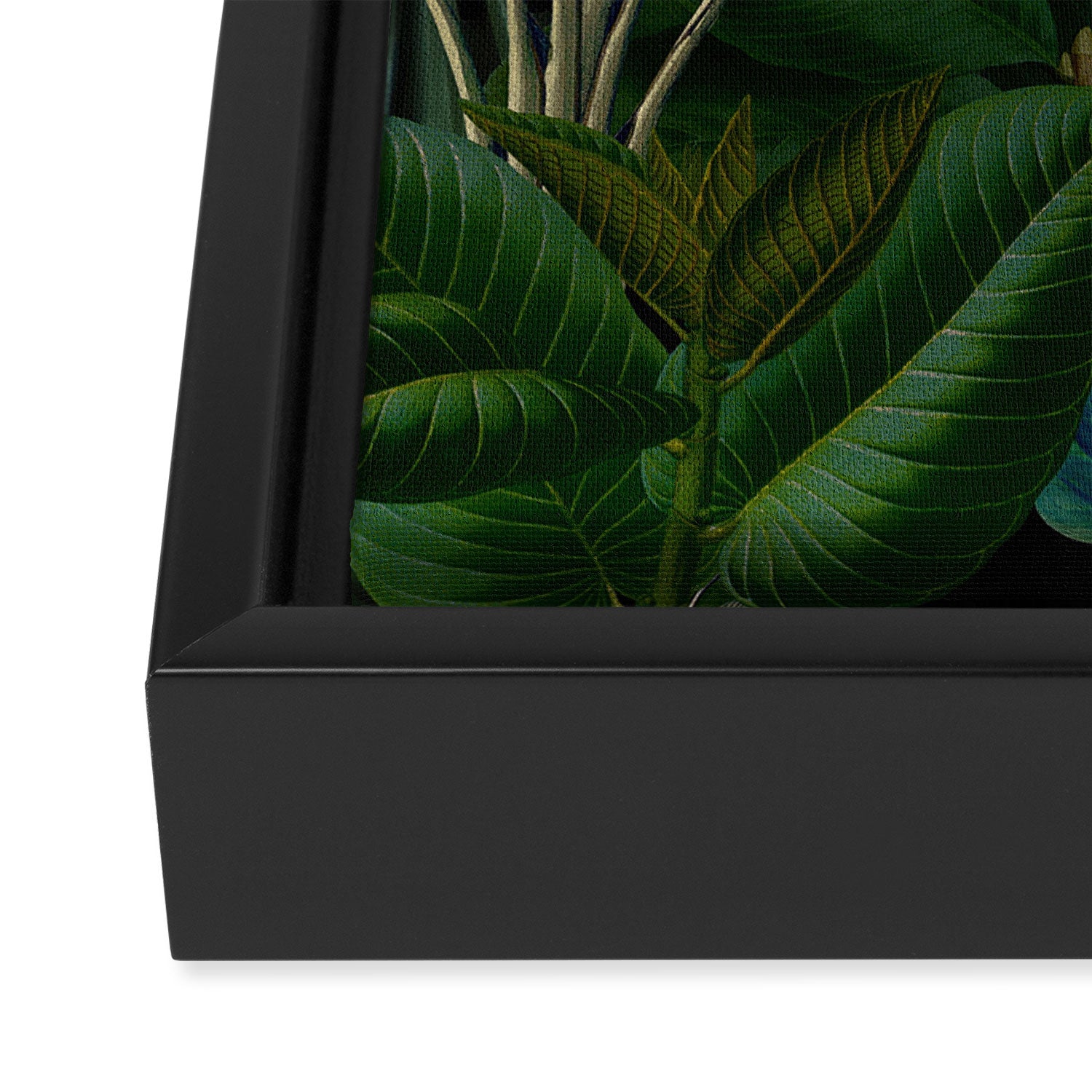 Moody Midnight Jungle Lush Tropical Paradise Framed Canvas Print Gallery Image 3