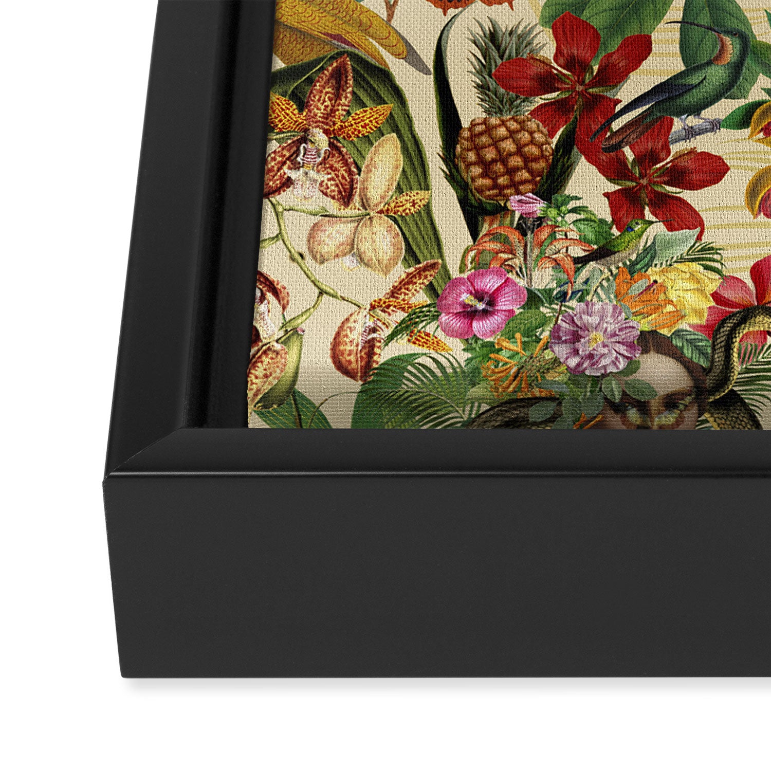 Snake Princess Tropical Jungle Vibes Multicolor  Framed Canvas Print Gallery Image 3