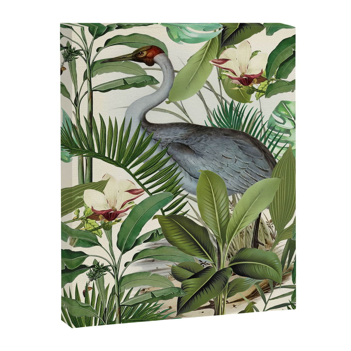 Tropical Heron Bird Rainforest Illustration Canvas Print Gallery Image 6
