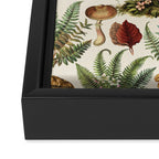 Woodland Vibes Mushroom And Fern Pattern Framed Canvas Print Gallery Image 3