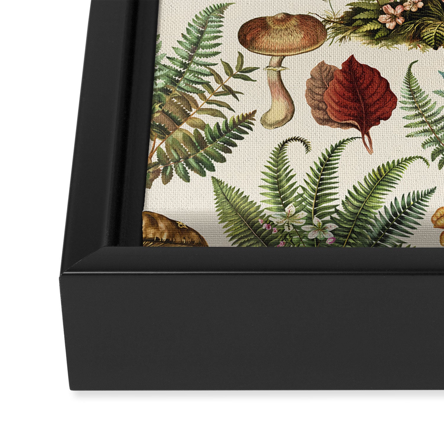 Woodland Vibes Mushroom And Fern Pattern Framed Canvas Print Gallery Image 3