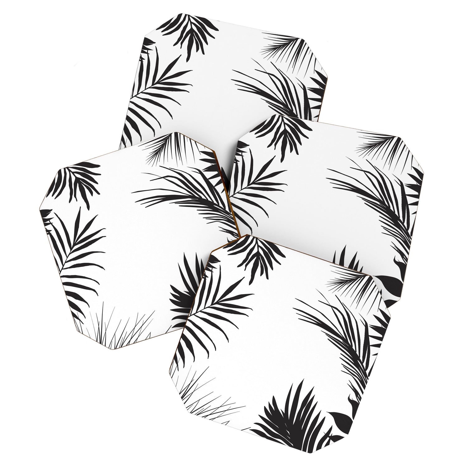 Black And White Palm Leaves Coaster Gallery Image 1