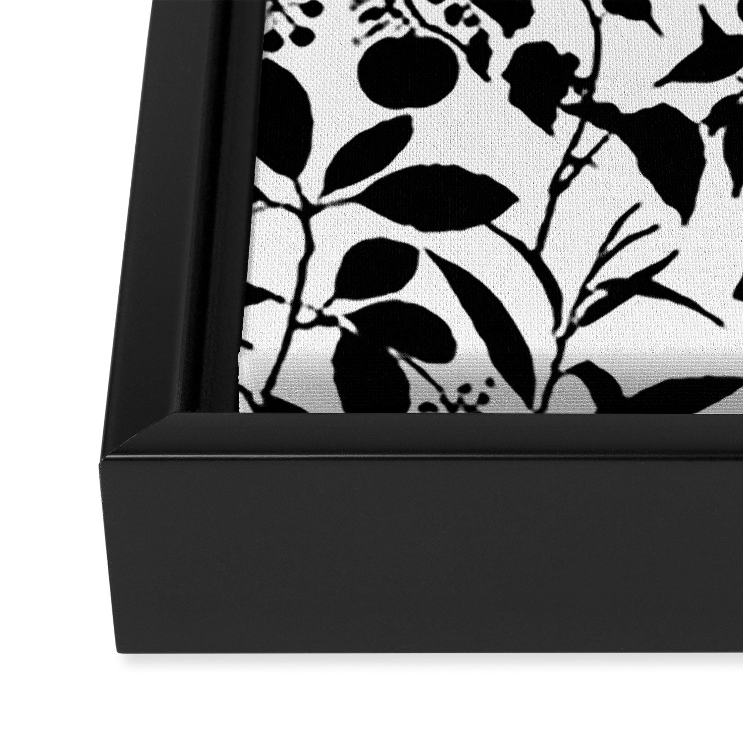 Exotic Passionflower Bold Botanical Silhouettes Framed Canvas Print Gallery Image 3