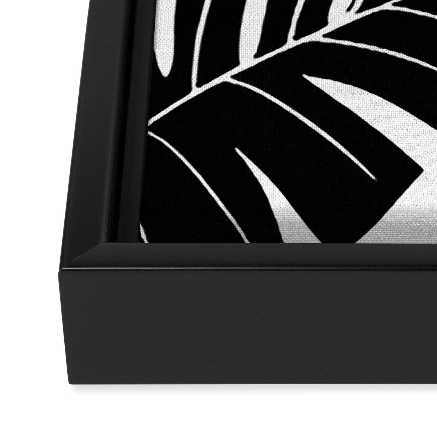 Leafy Calm Charm Black And White Simplicity Framed Canvas Print Gallery Image 3