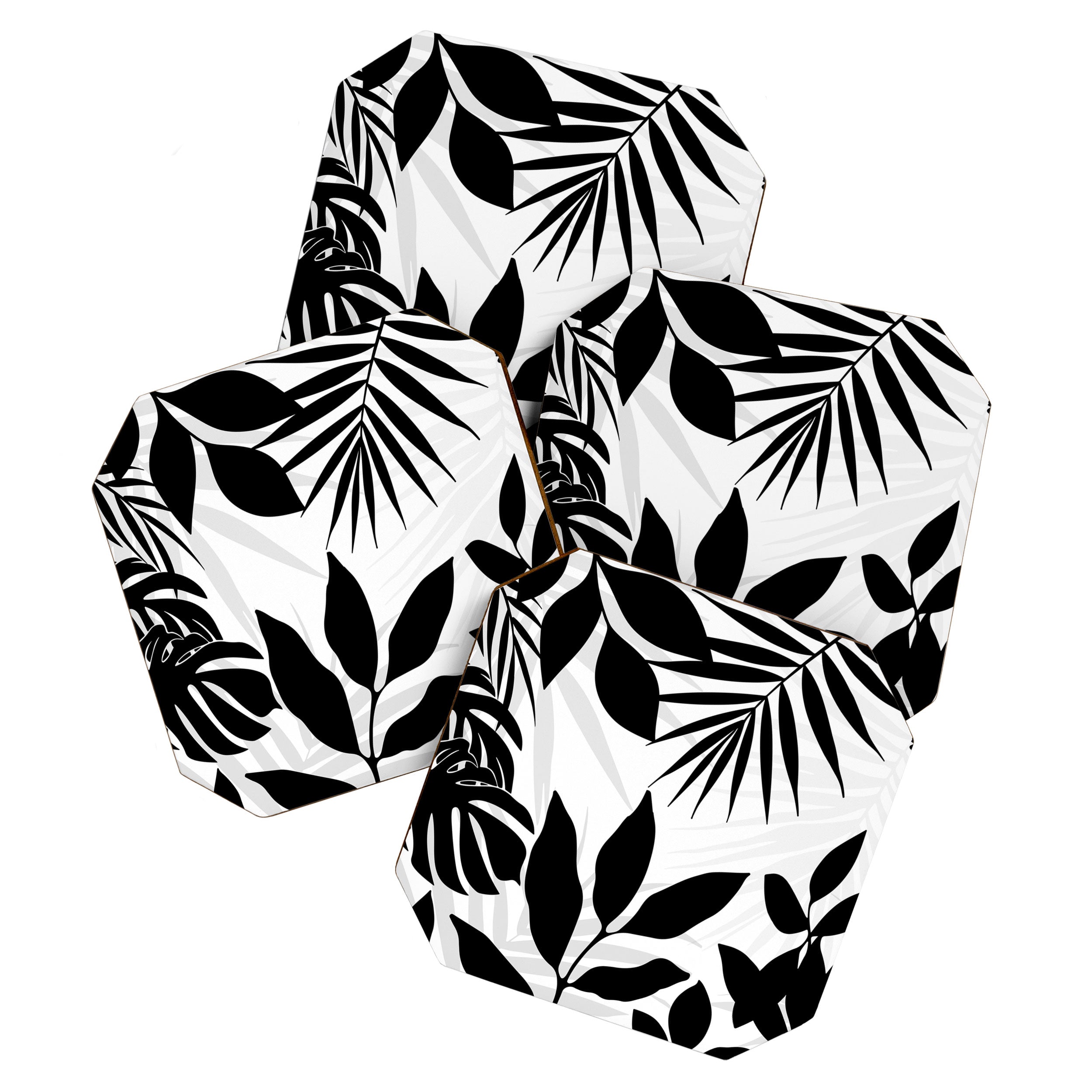 Tropical Vibes Black And White Foliage  Coaster Gallery Image 1