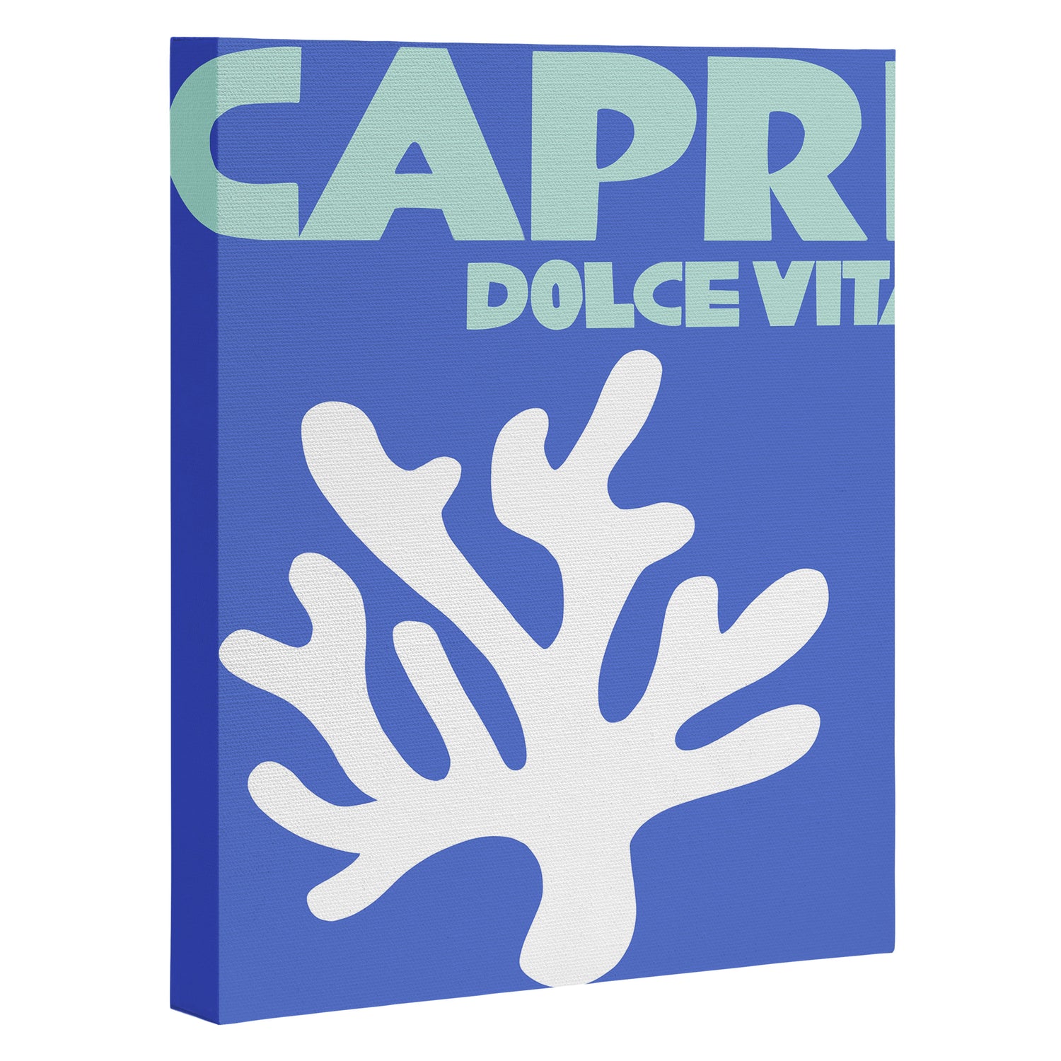 capri dolce vita Canvas Print Gallery Image 3