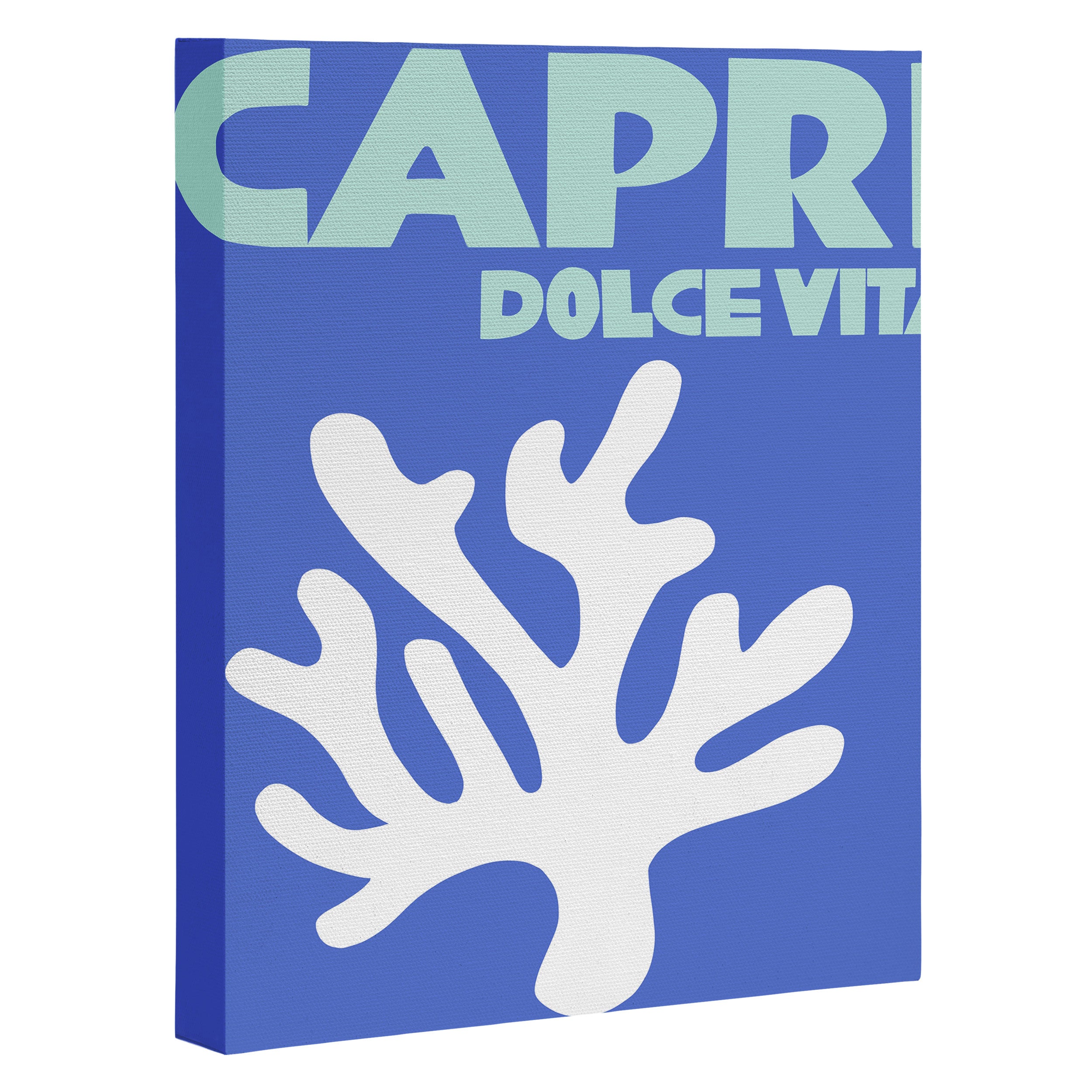 capri dolce vita Canvas Print Gallery Image 3