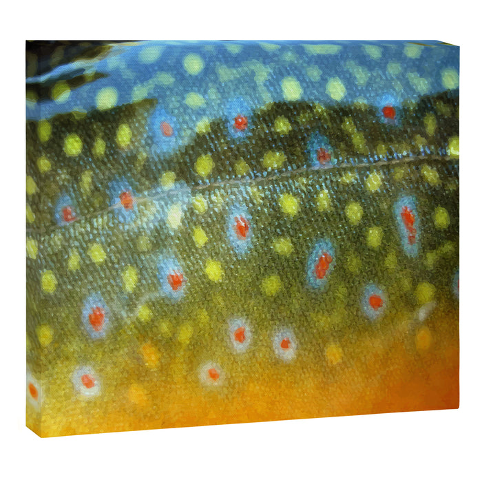 Brook Trout Skin Fly Fishing Canvas Print Gallery Image 1