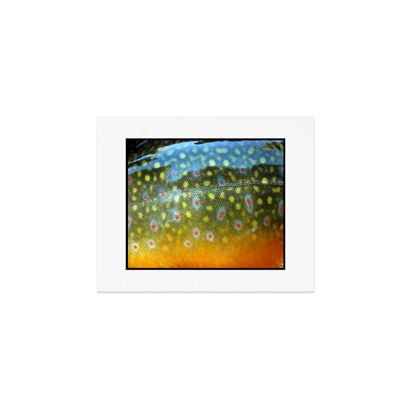 Brook Trout Skin Fly Fishing Art Print Gallery Image 1