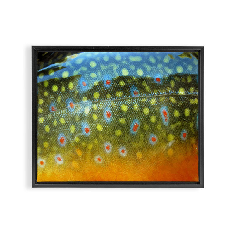 Brook Trout Skin Fly Fishing Framed Canvas Print Gallery Image 3