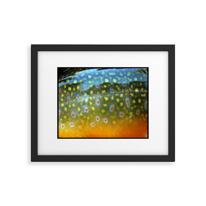 Brook Trout Skin Fly Fishing Framed Art Print Gallery Image 1