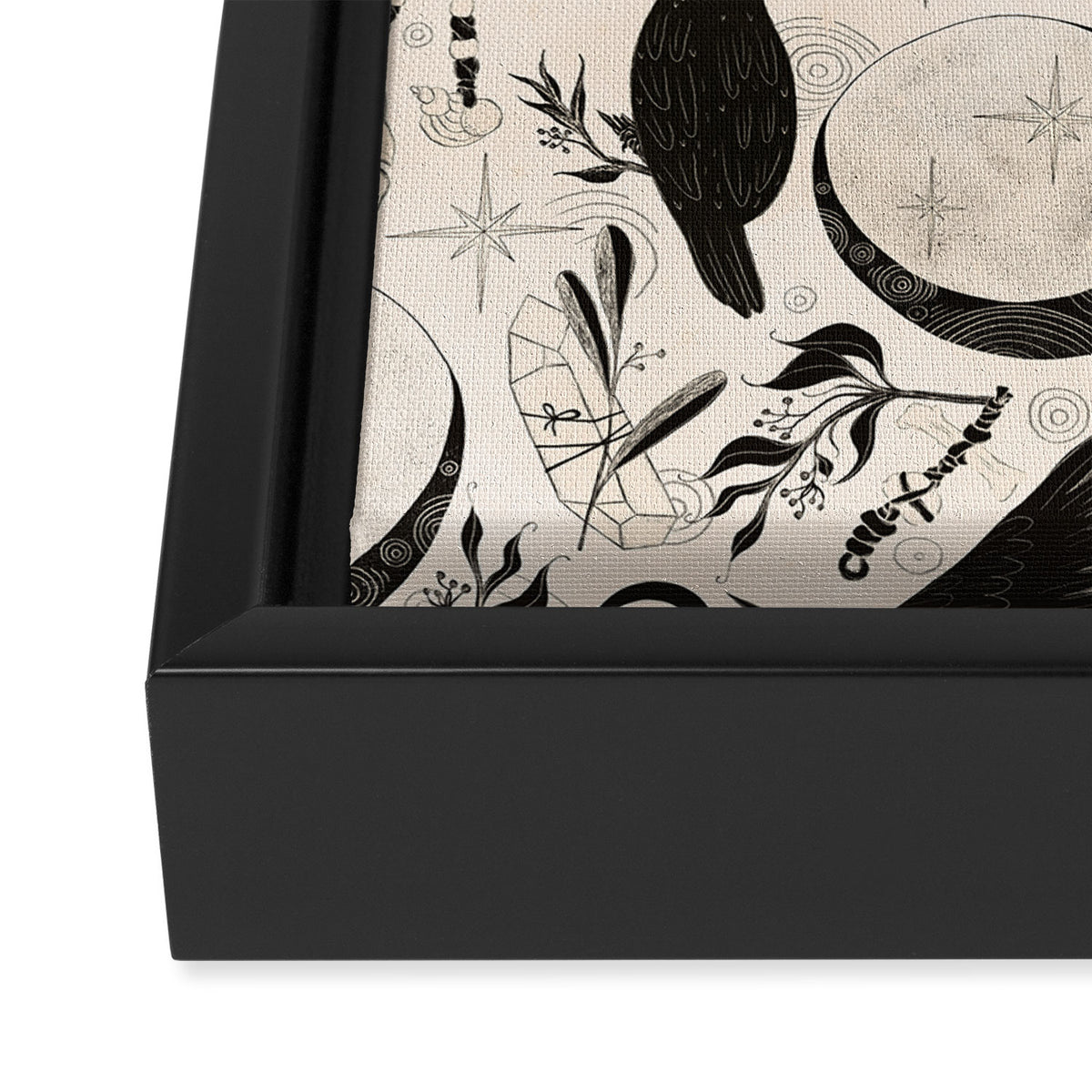 Raven Tarot Light Framed Canvas Print Gallery Image 3