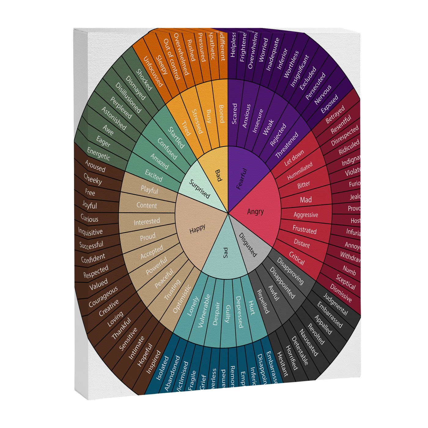 Wheel Of Emotions Canvas Print
