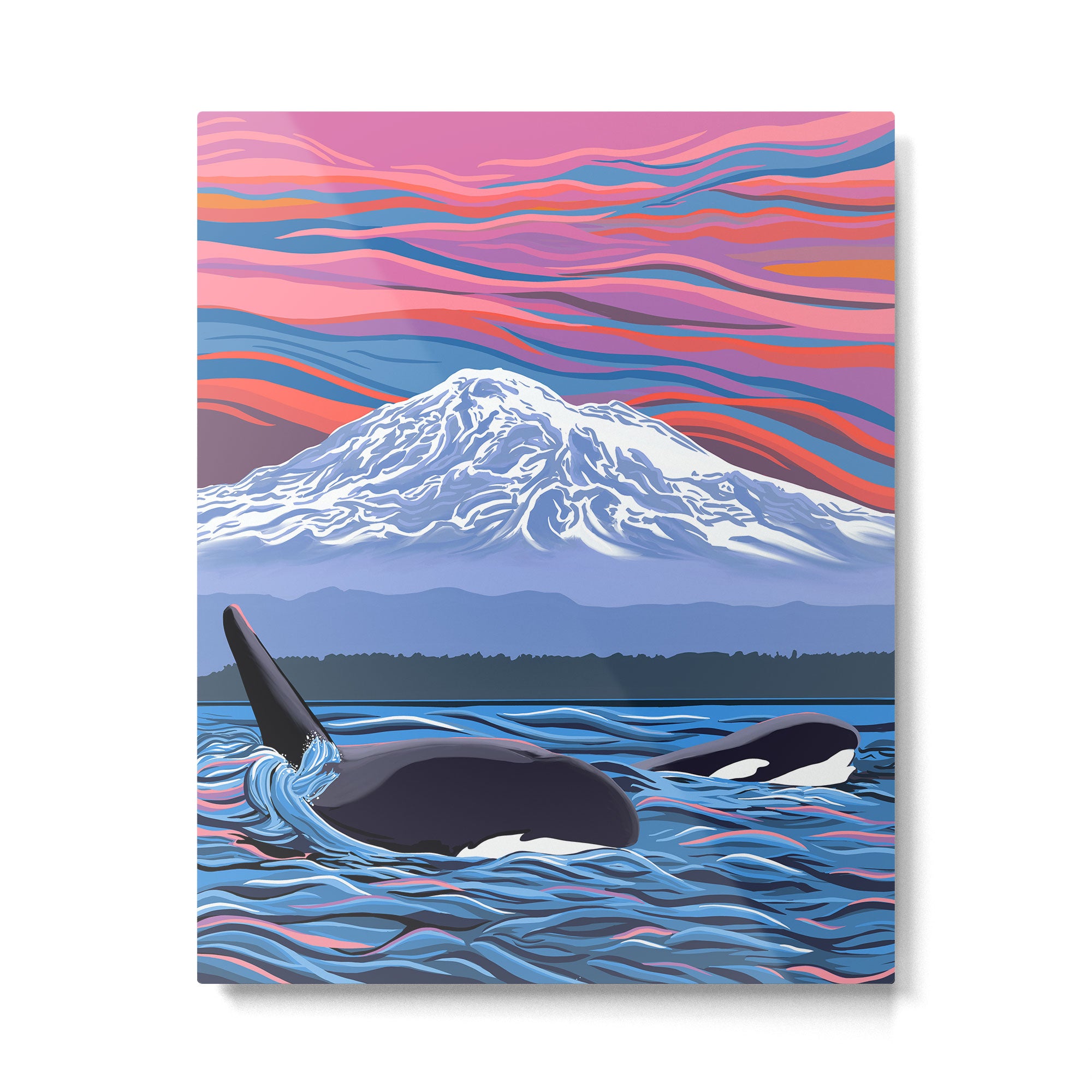 Orca Momma and calf - Ballet Slipper Metal Print Gallery Image 4