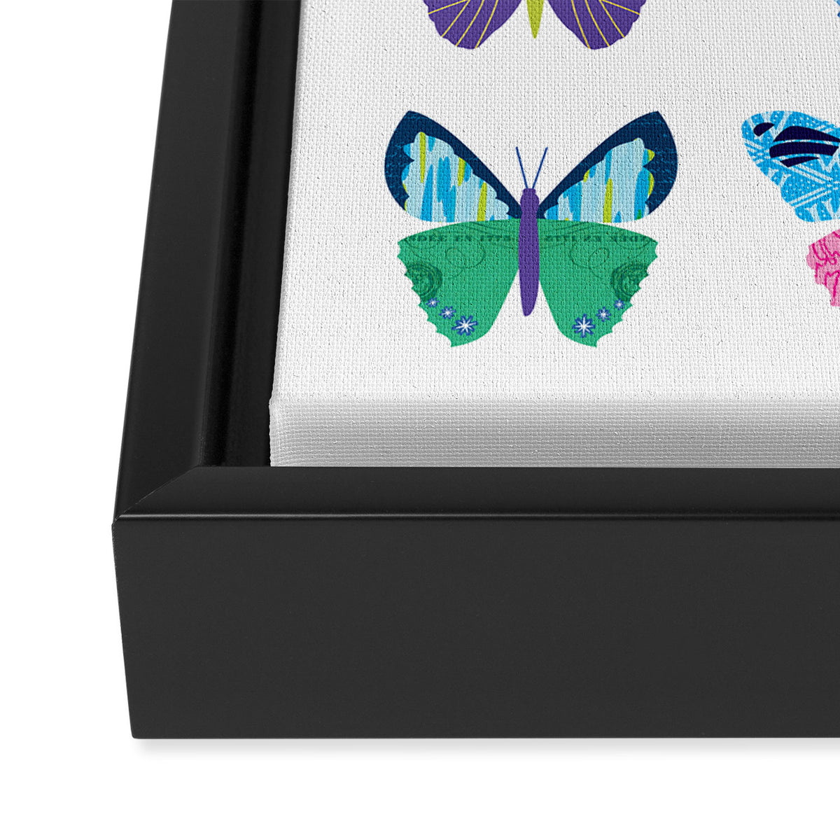 Colorful Butterflies  Framed Canvas Print Gallery Image 3