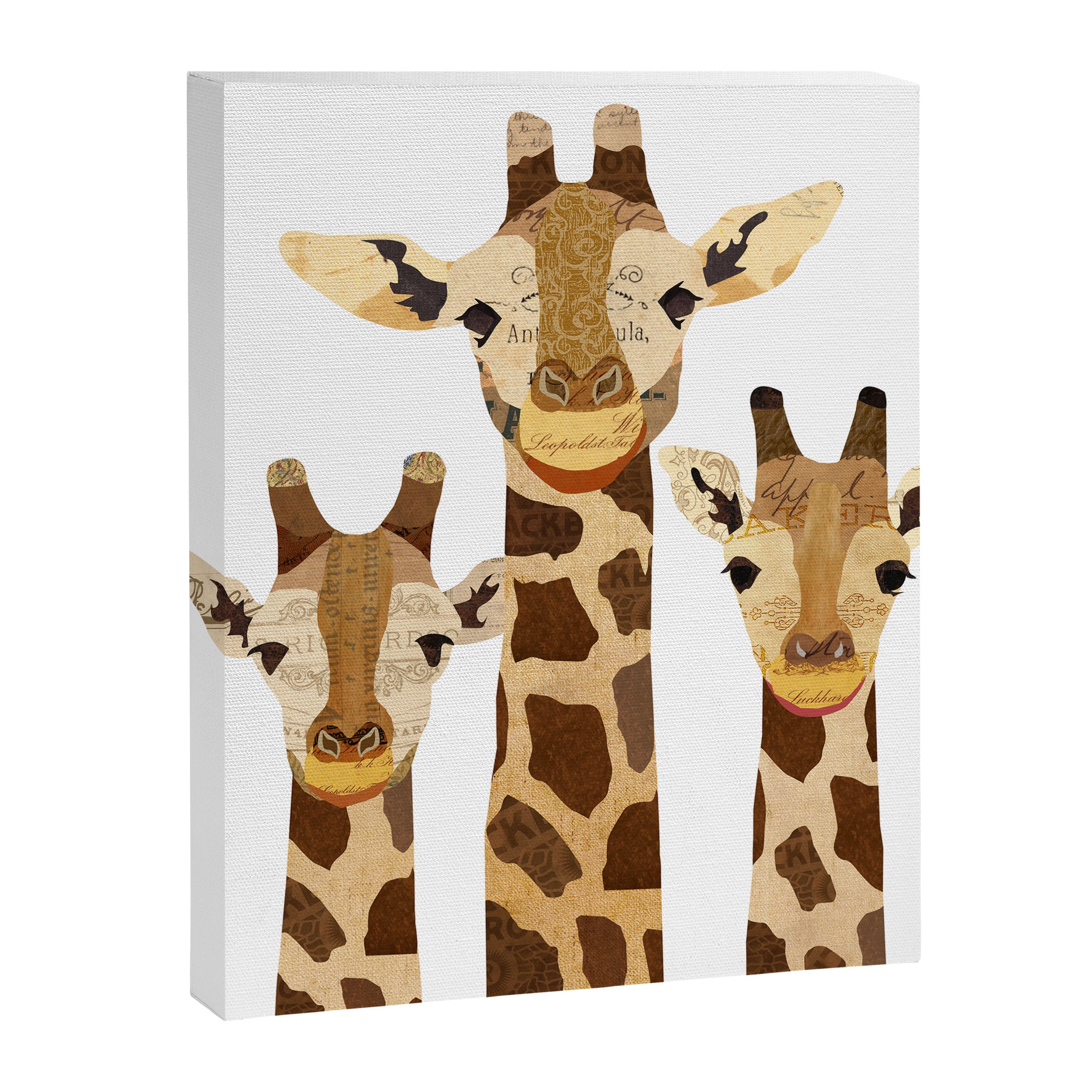 Giraffe Collage Canvas Print Gallery Image 6