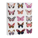 Pink Butterflies Canvas Print Gallery Image 6