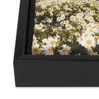 Daydreamer Framed Canvas Print Gallery Image 3