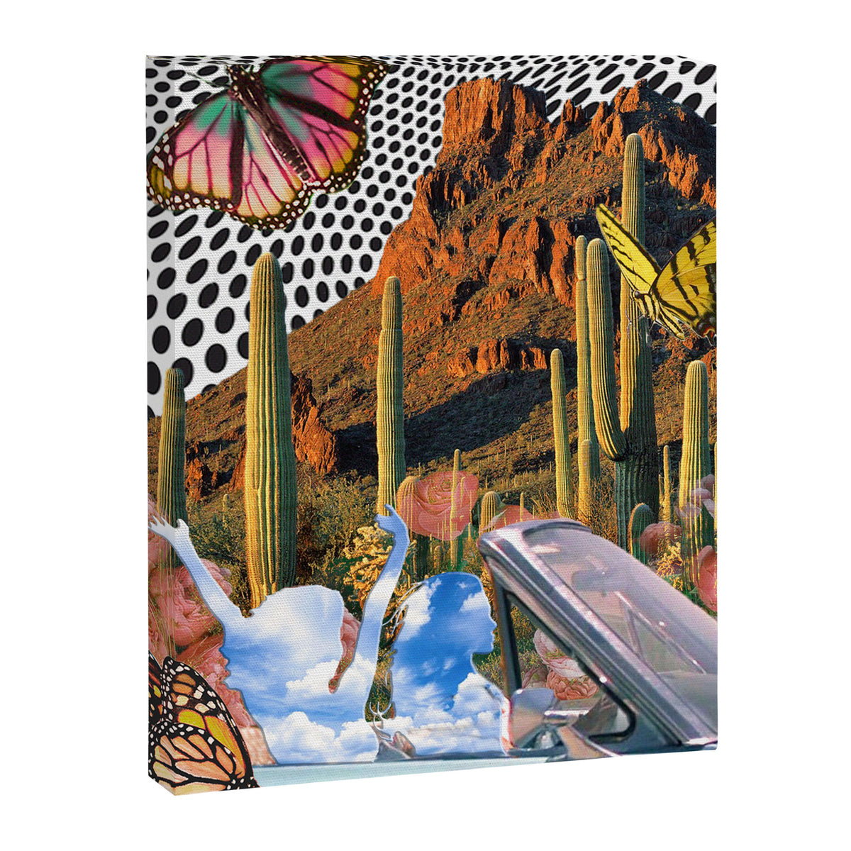 Desert Dreams Canvas Print Gallery Image 6